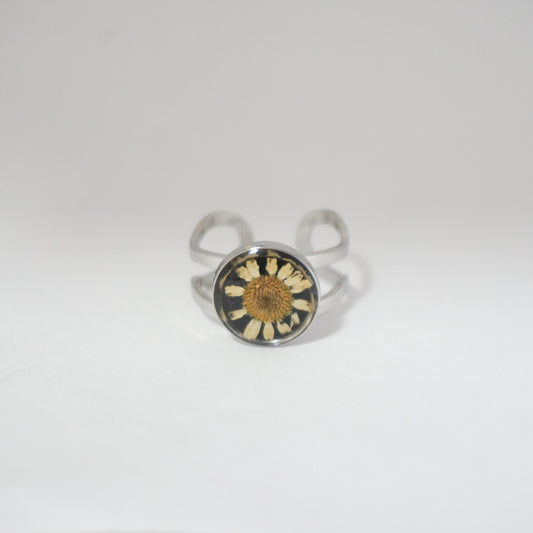 Anillo ajustable hierba de Santa María fondo negro