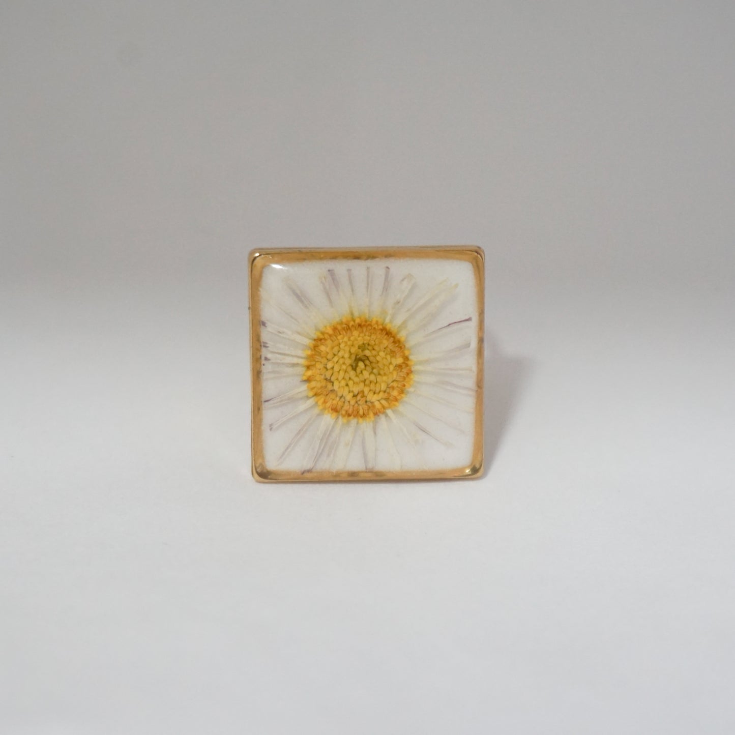 Anillo ajustable margarita fondo blanco