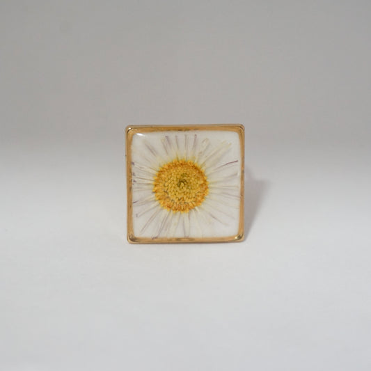 Anillo ajustable margarita fondo blanco