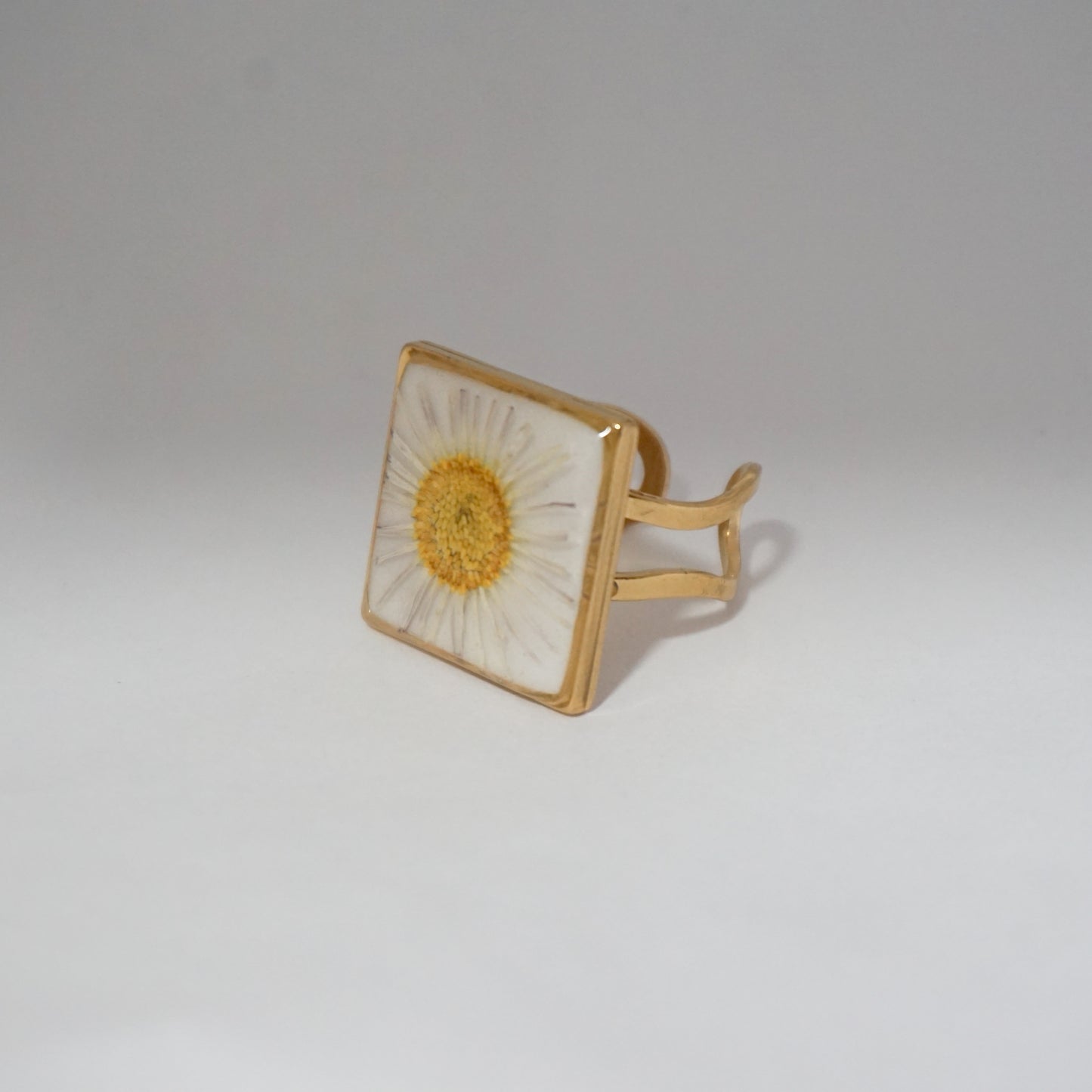 Anillo ajustable margarita fondo blanco