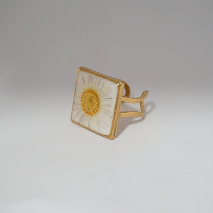 Anillo ajustable margarita fondo blanco