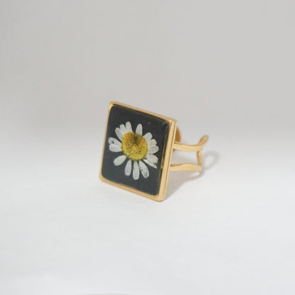 Anillo ajustable hierba de Santa María fondo negro