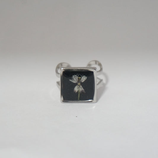 Anillo ajustable asclepia fondo negro