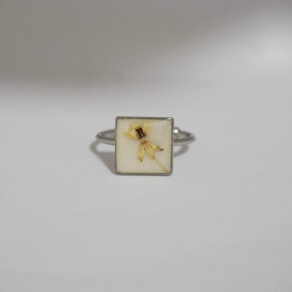Anillo ajustable algodoncillo fondo blanco