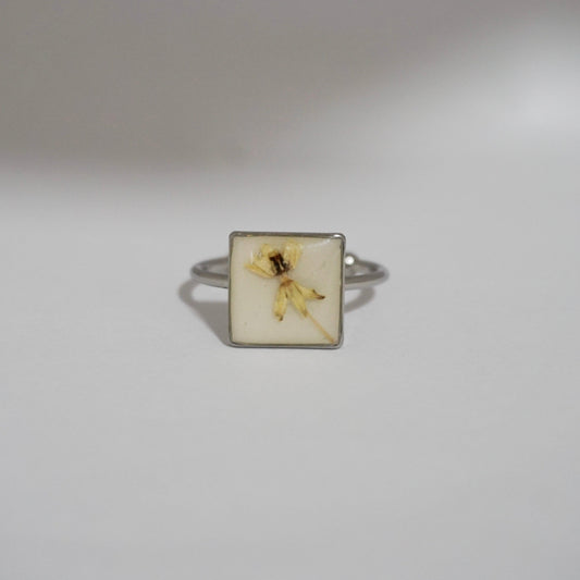 Anillo ajustable algodoncillo fondo blanco