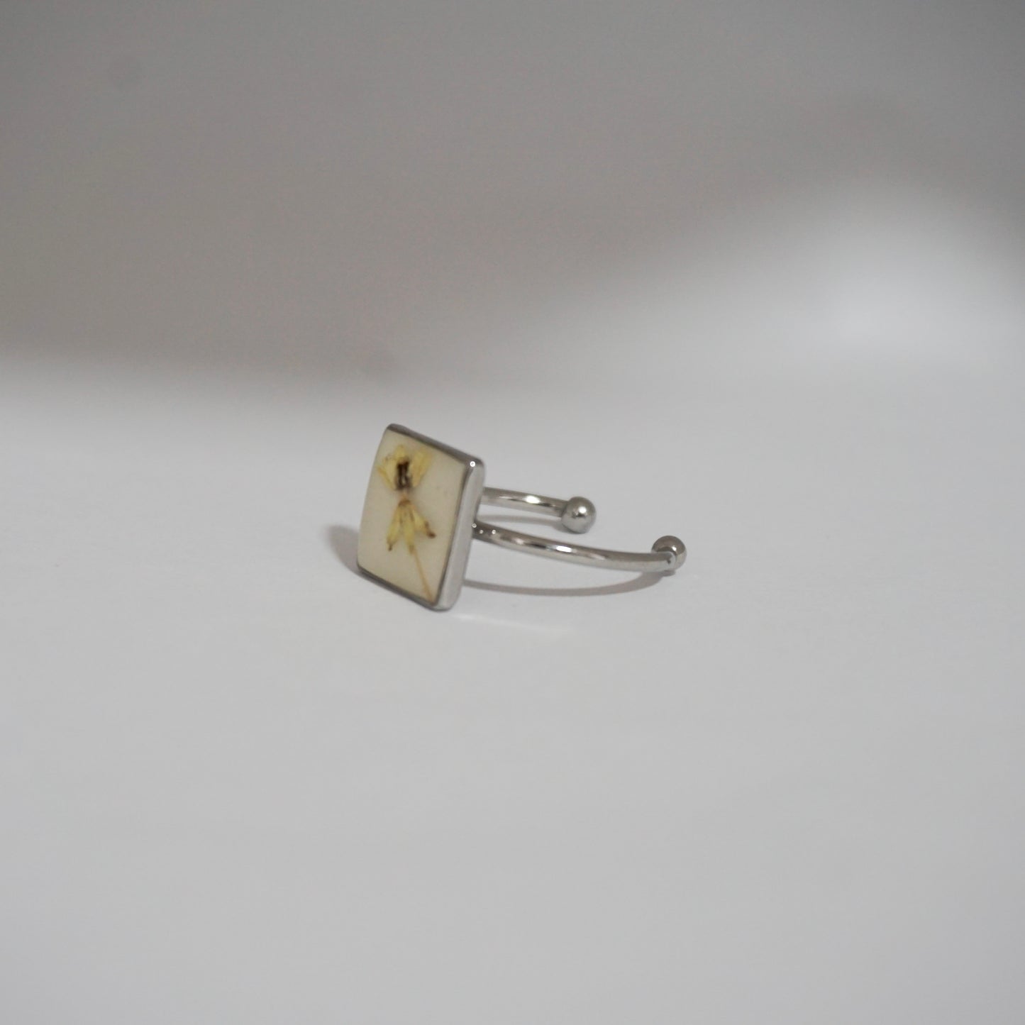 Anillo ajustable algodoncillo fondo blanco