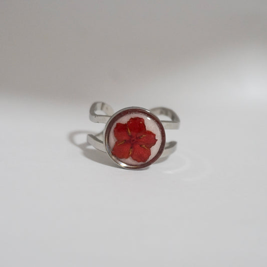 Anillo ajustable ixora fondo blanco