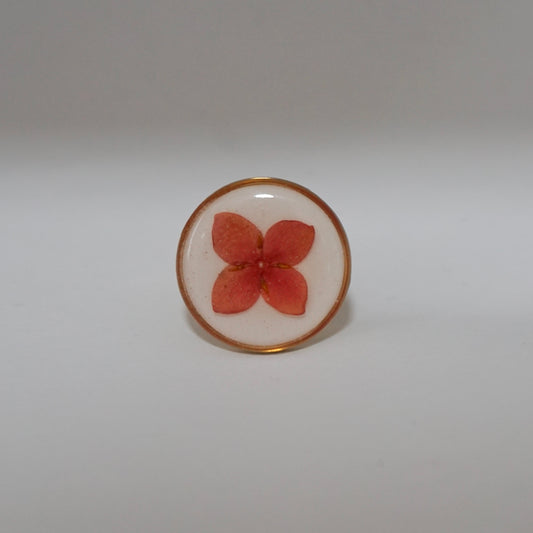 Anillo ajustable ixora fondo blanco