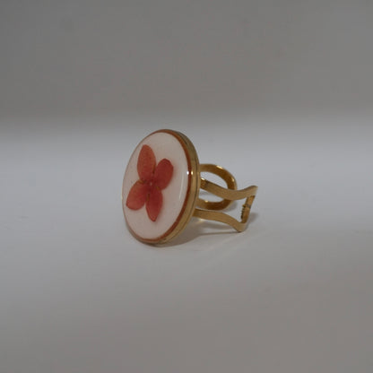 Anillo ajustable ixora fondo blanco