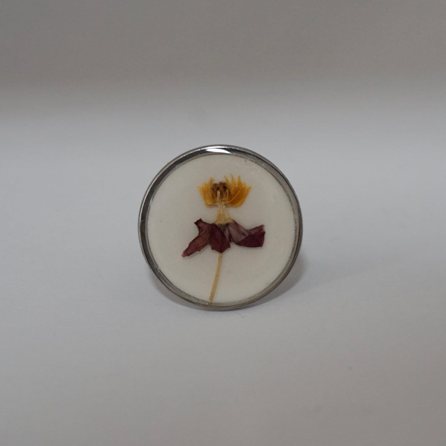 Anillo ajustable algodoncillo fondo blanco