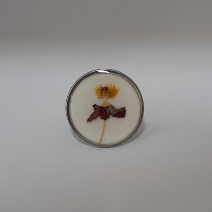 Anillo ajustable algodoncillo fondo blanco