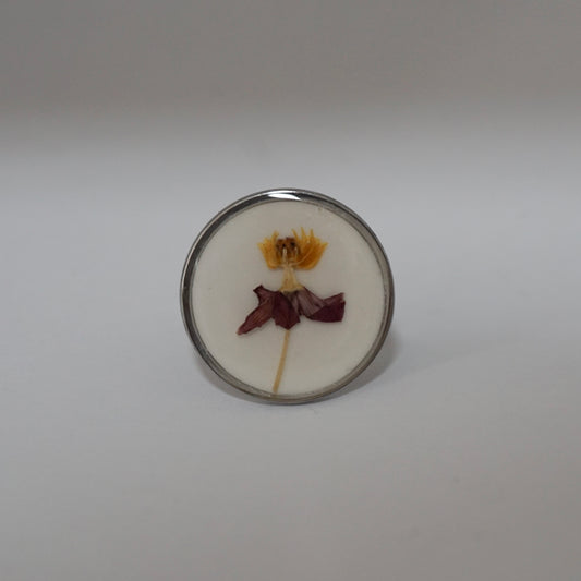 Anillo ajustable algodoncillo fondo blanco