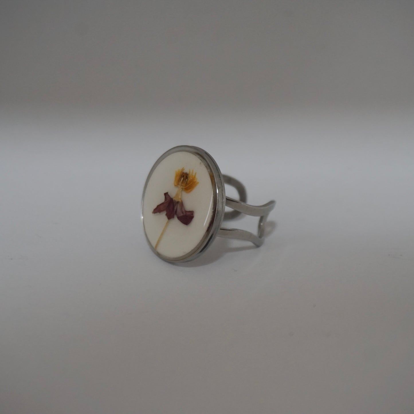 Anillo ajustable algodoncillo fondo blanco