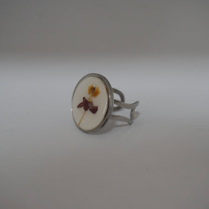 Anillo ajustable algodoncillo fondo blanco