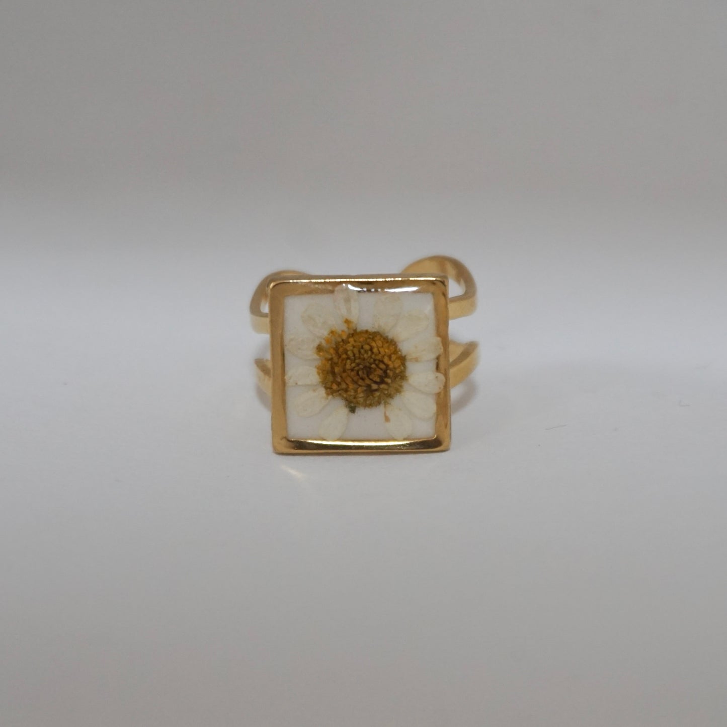 Anillo ajustable hierba de Santa María fondo blanco