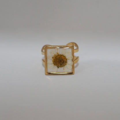 Anillo ajustable hierba de Santa María fondo blanco