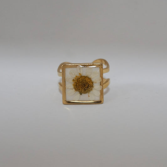 Anillo ajustable hierba de Santa María fondo blanco