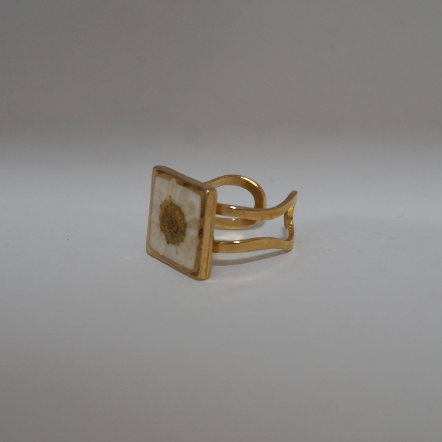 Anillo ajustable hierba de Santa María fondo blanco