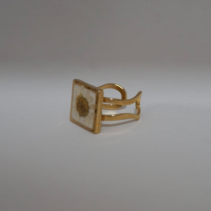 Anillo ajustable hierba de Santa María fondo blanco