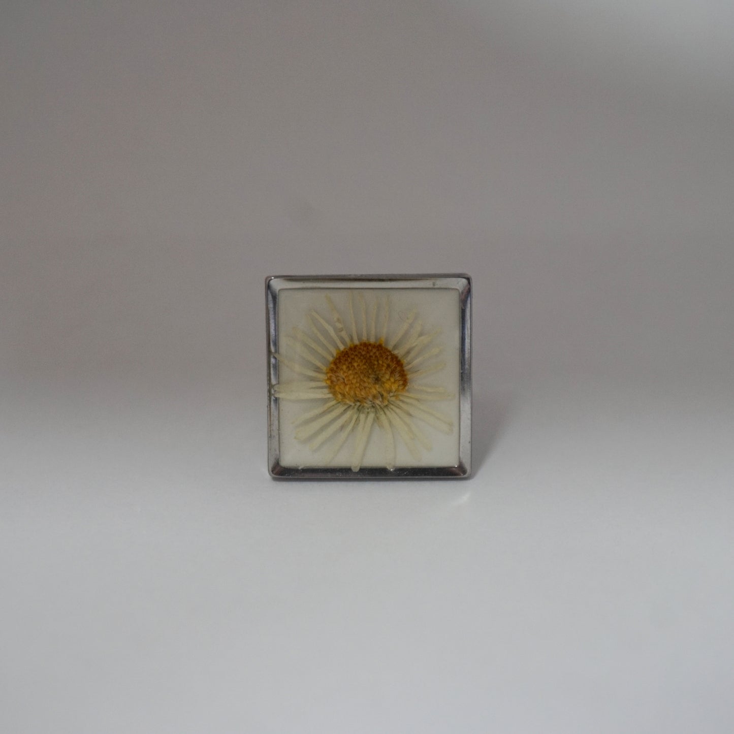 Anillo ajustable margarita fondo blanco