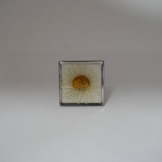 Anillo ajustable margarita fondo blanco