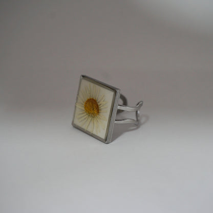 Anillo ajustable margarita fondo blanco