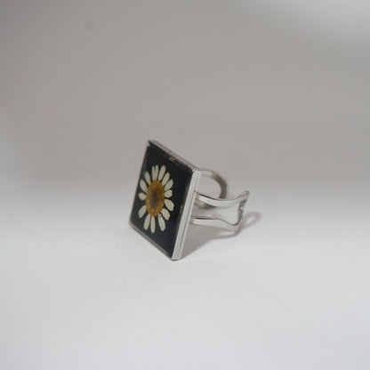 Anillo ajustable Hierba de Santa María fondo negro