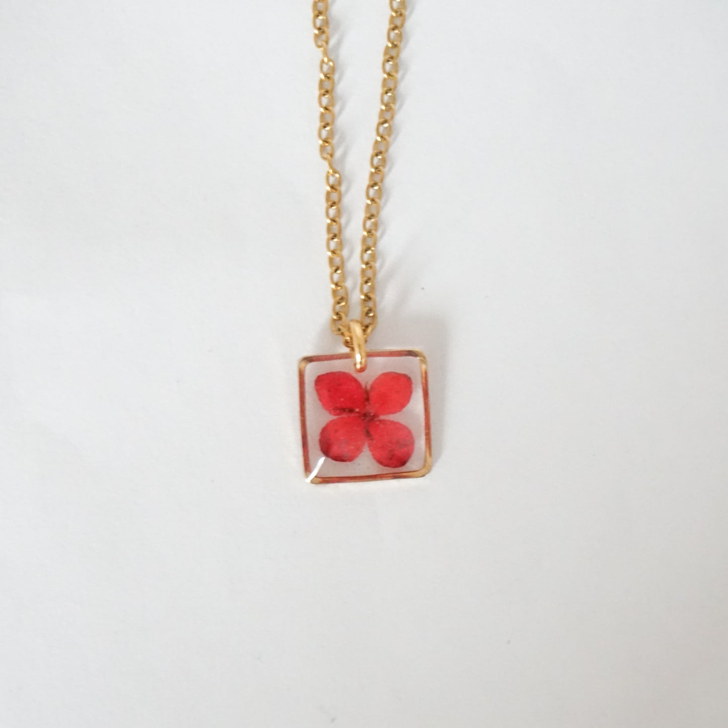 Dije ixora