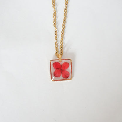 Dije ixora