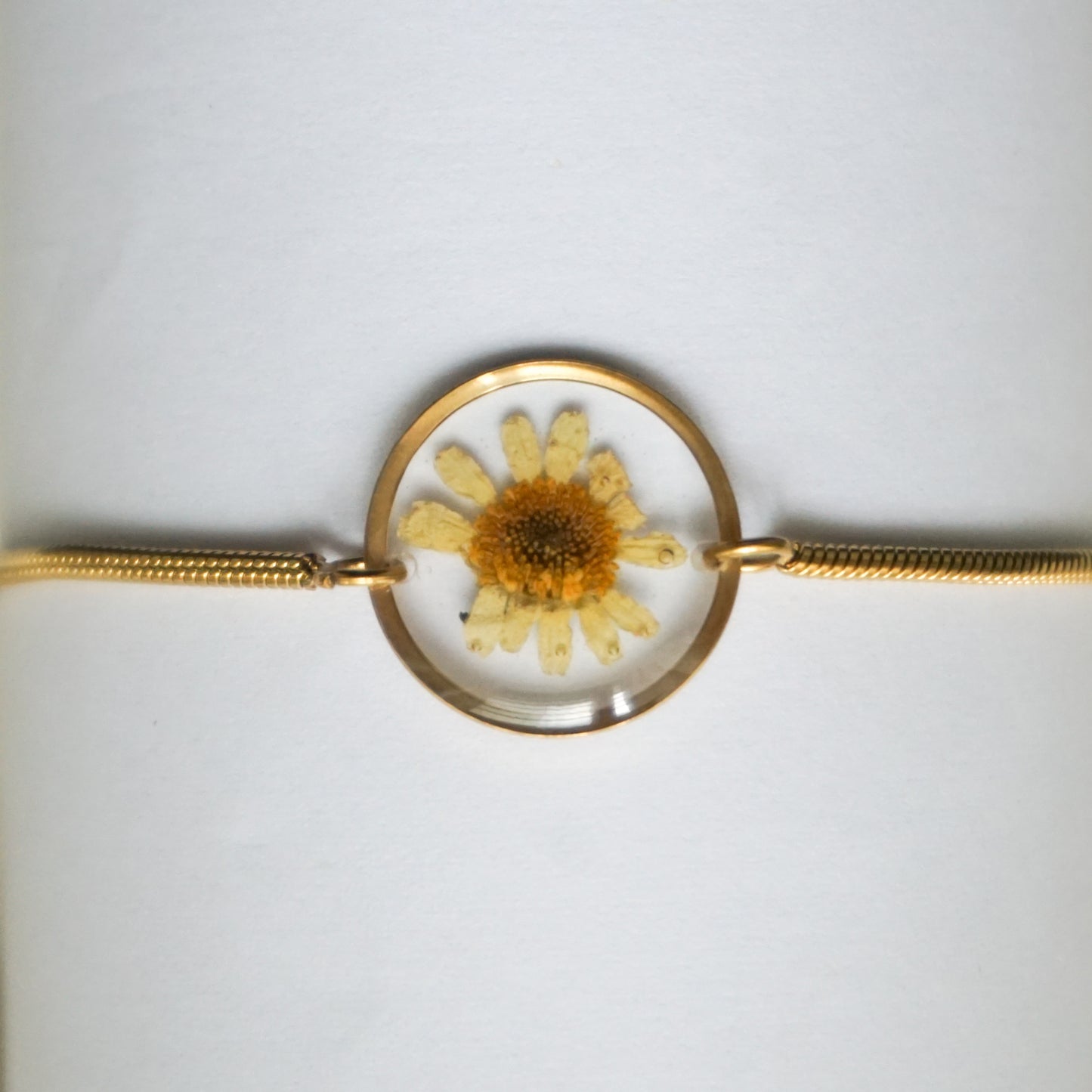 Pulsera hierba de santa maría