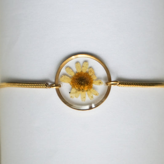 Pulsera hierba de santa maría