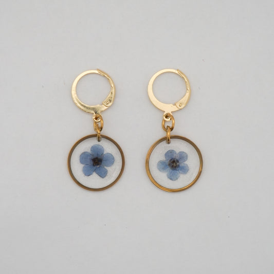 Aretes nomeolvides