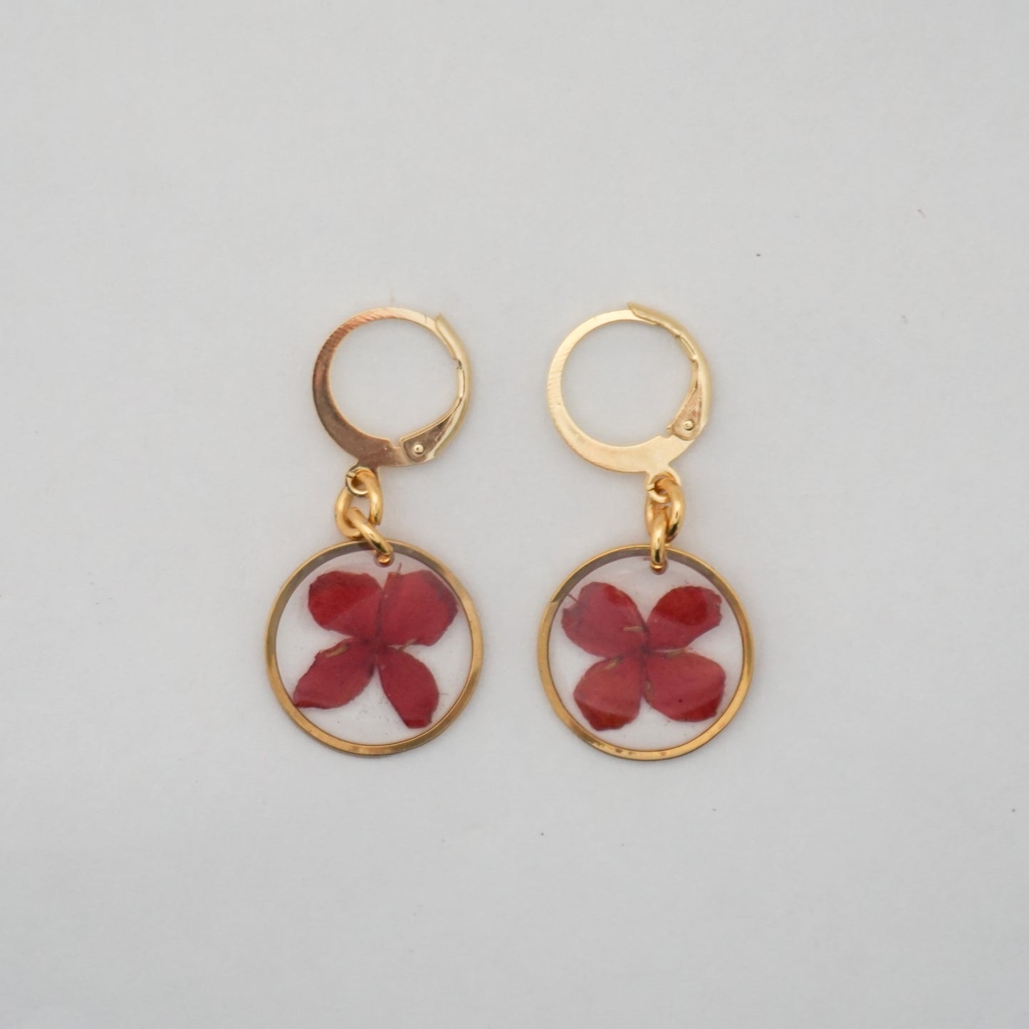 Aretes ixora