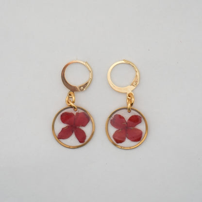 Aretes ixora