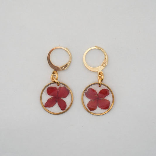 Aretes ixora