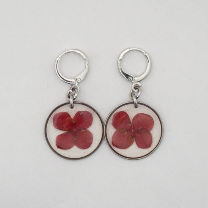 Aretes ixora