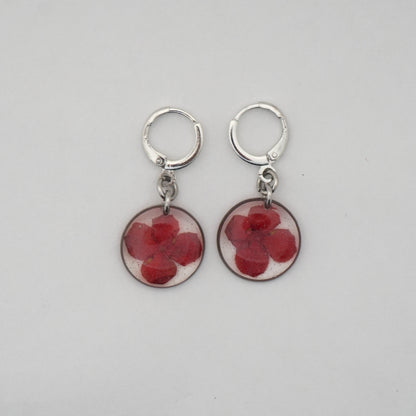 Aretes ixora