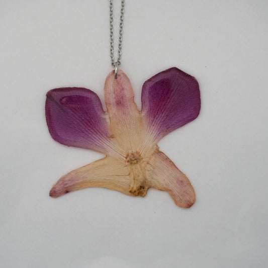 Dije orquídea dendrobium