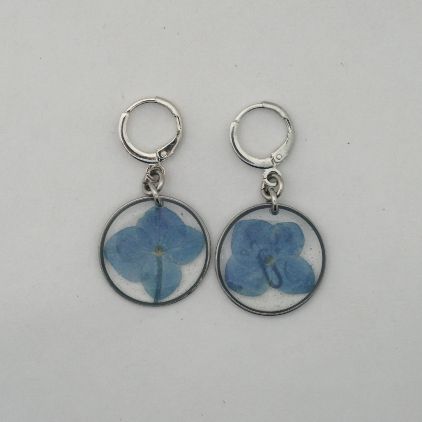 Aretes hortensia