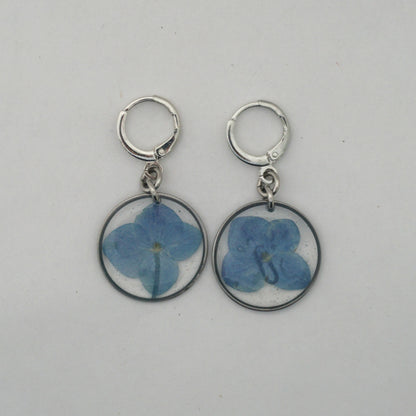 Aretes hortensia