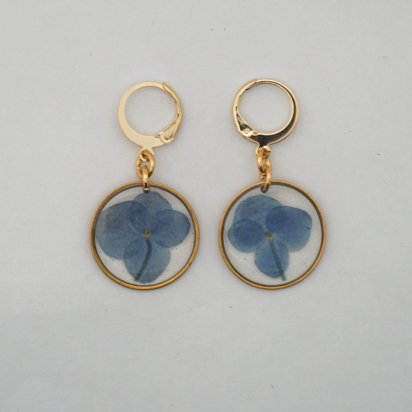 Aretes hortensia