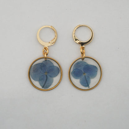 Aretes hortensia