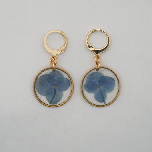 Aretes hortensia