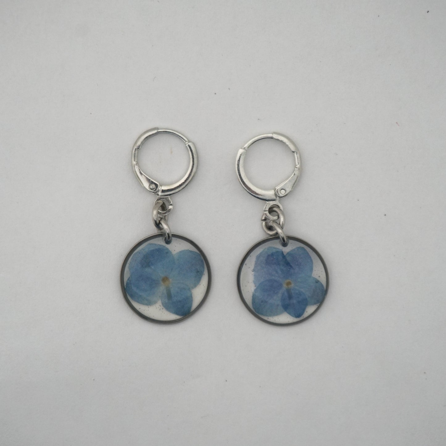 Aretes hortensia