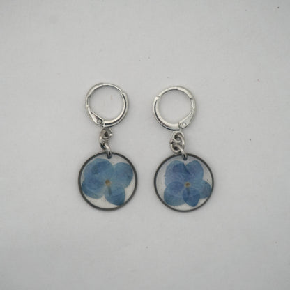 Aretes hortensia