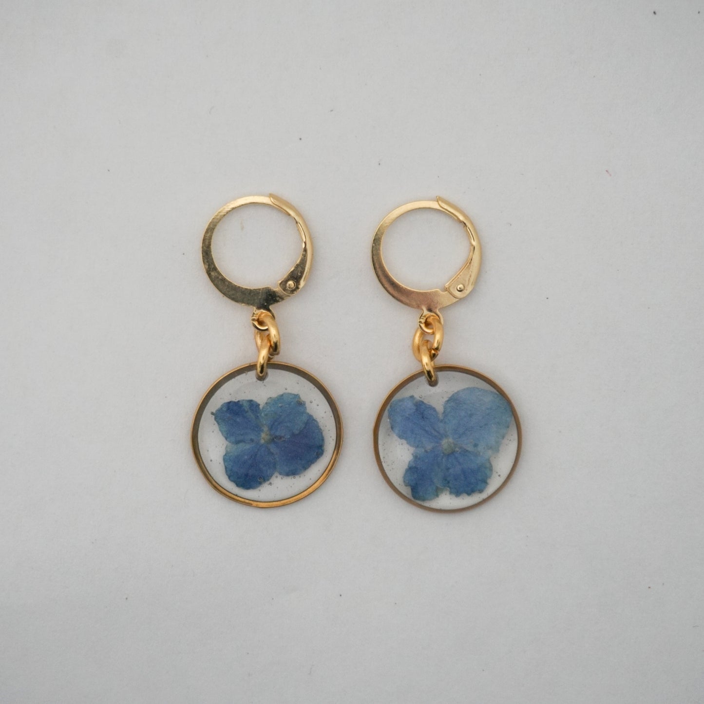 Aretes hortensia