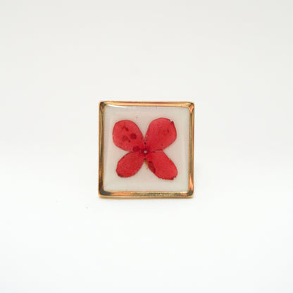 Anillo ajustable fondo blanco ixora