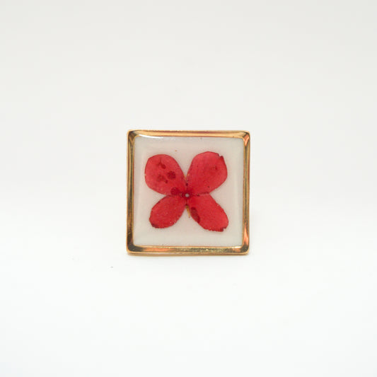 Anillo ajustable fondo blanco ixora