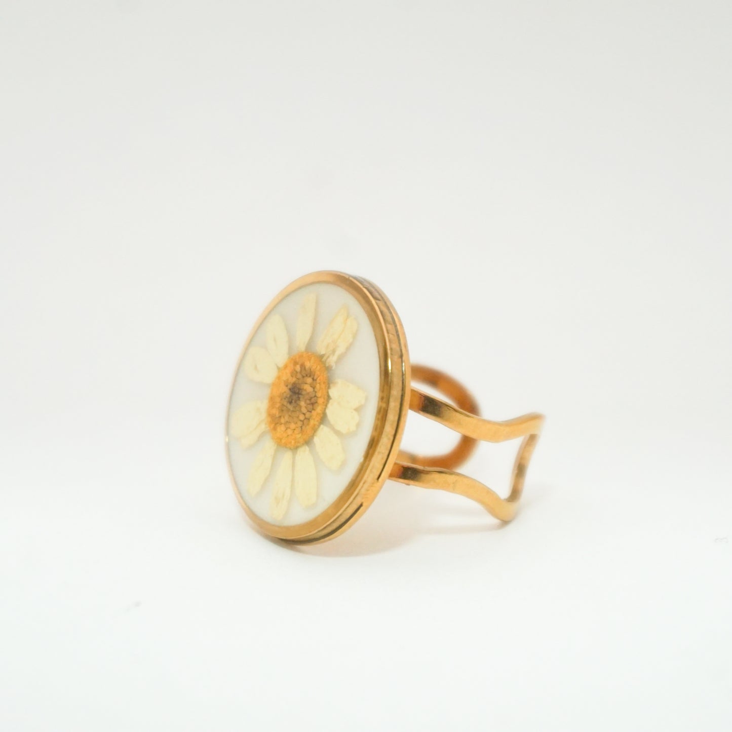 Anillo ajustable Hierba de Santa María fondo blanco