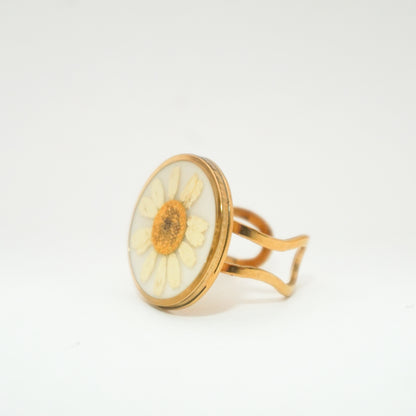Anillo ajustable Hierba de Santa María fondo blanco